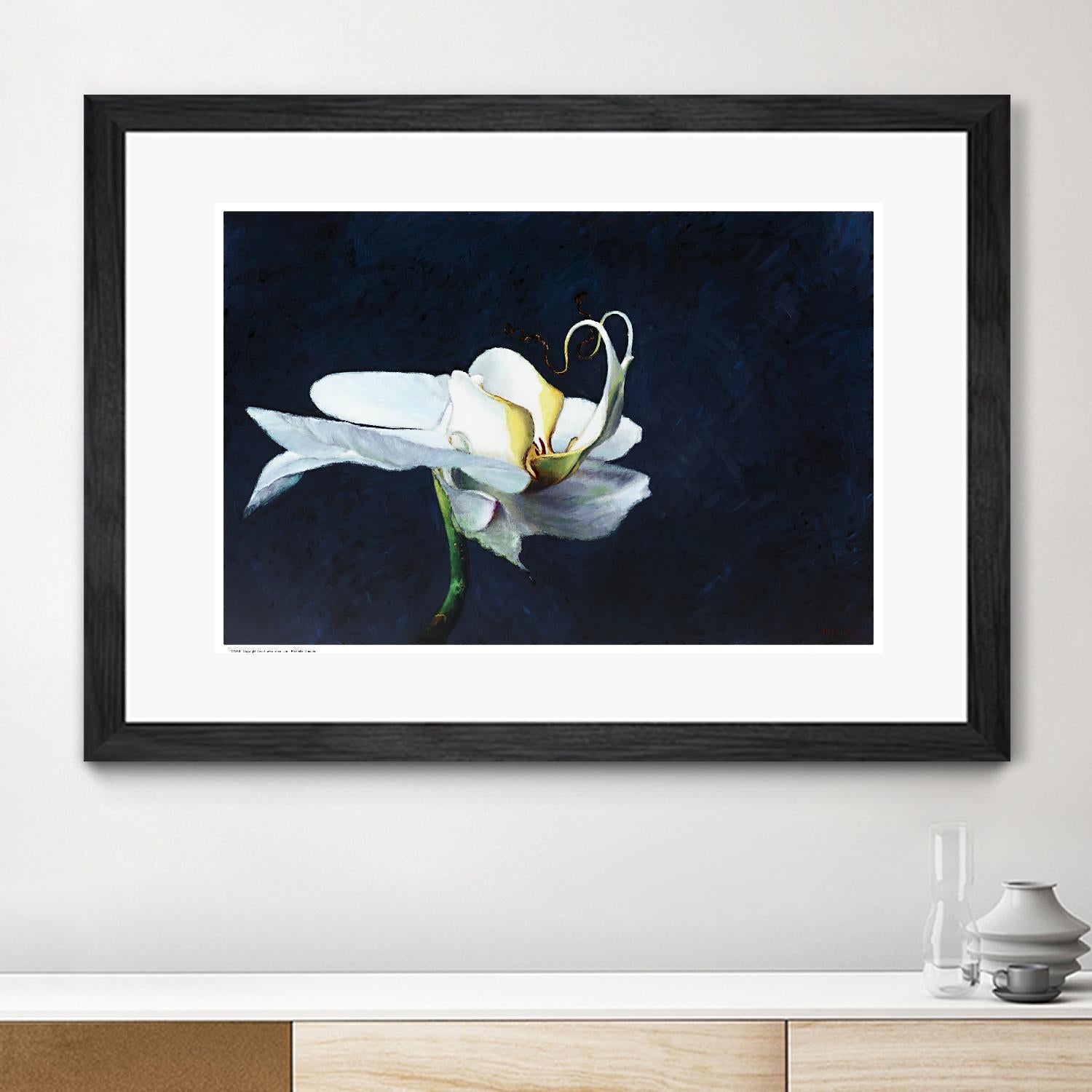 Phalaenopsis blanc by Jocelyne Maucotel on GIANT ART - blue flowers québécois