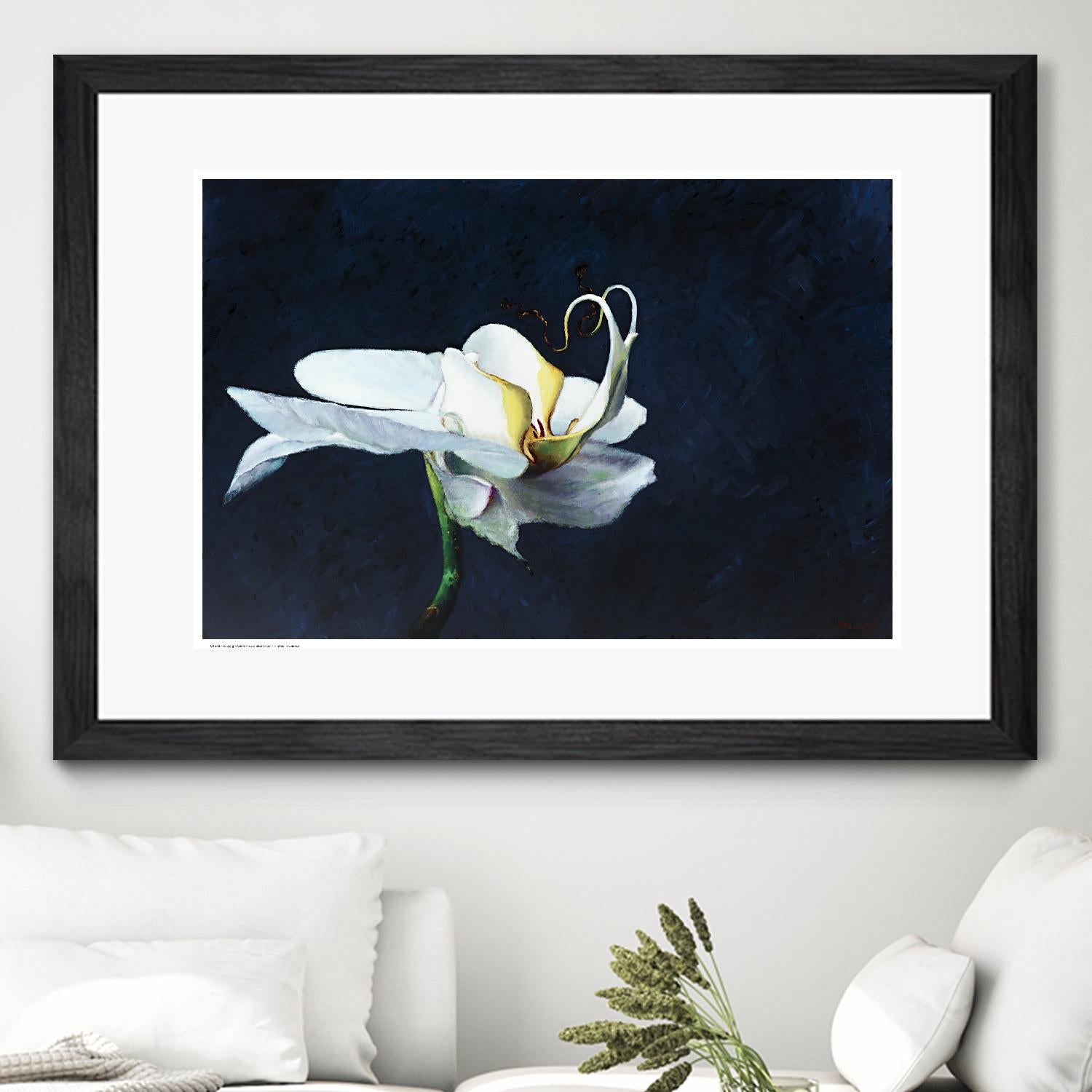 Phalaenopsis blanc by Jocelyne Maucotel on GIANT ART - blue flowers québécois