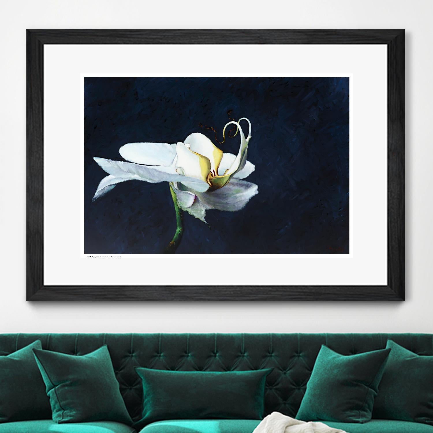 Phalaenopsis blanc by Jocelyne Maucotel on GIANT ART - blue flowers québécois