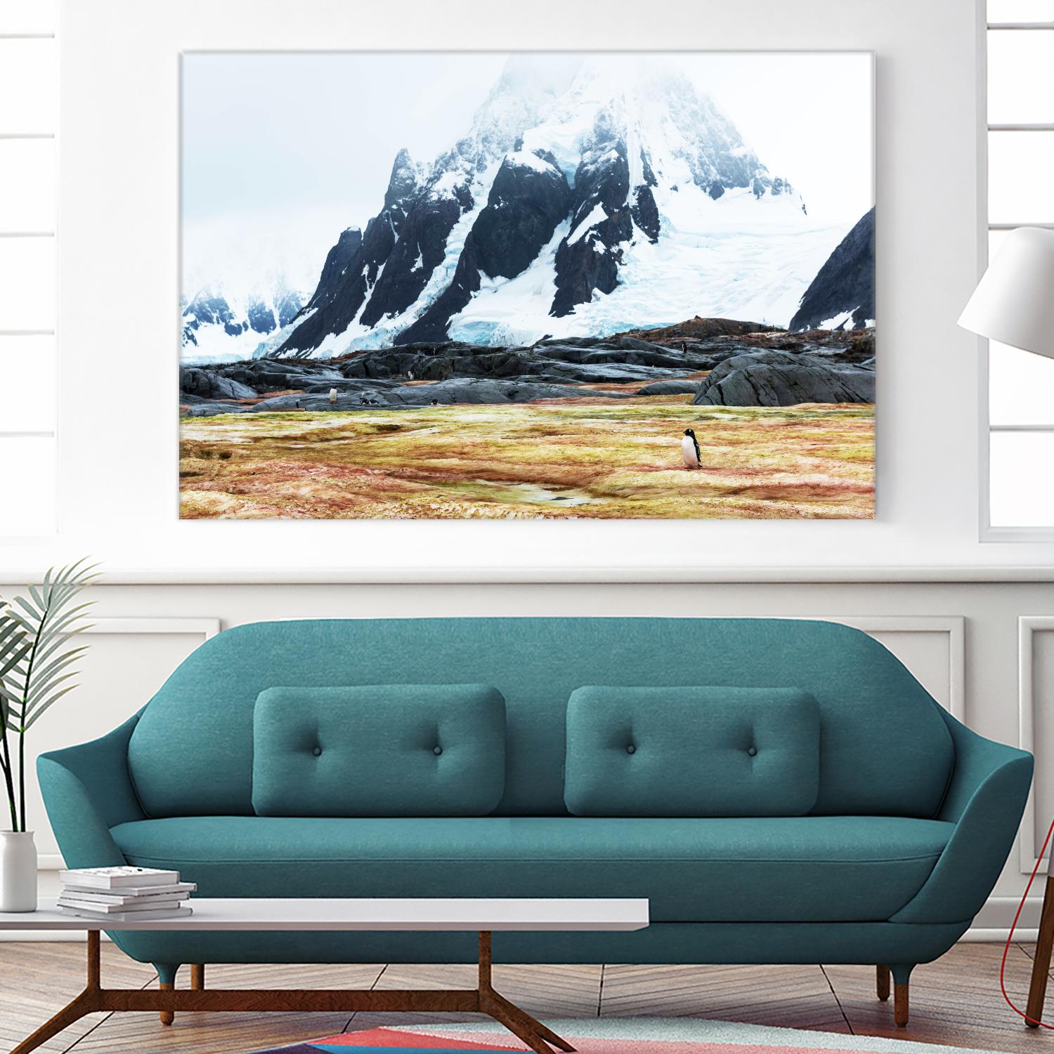 Crossing the green algae field, Antarctica by Nick Jackson on GIANT ART - white photo art