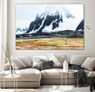 Crossing the green algae field, Antarctica by Nick Jackson on GIANT ART - white photo art