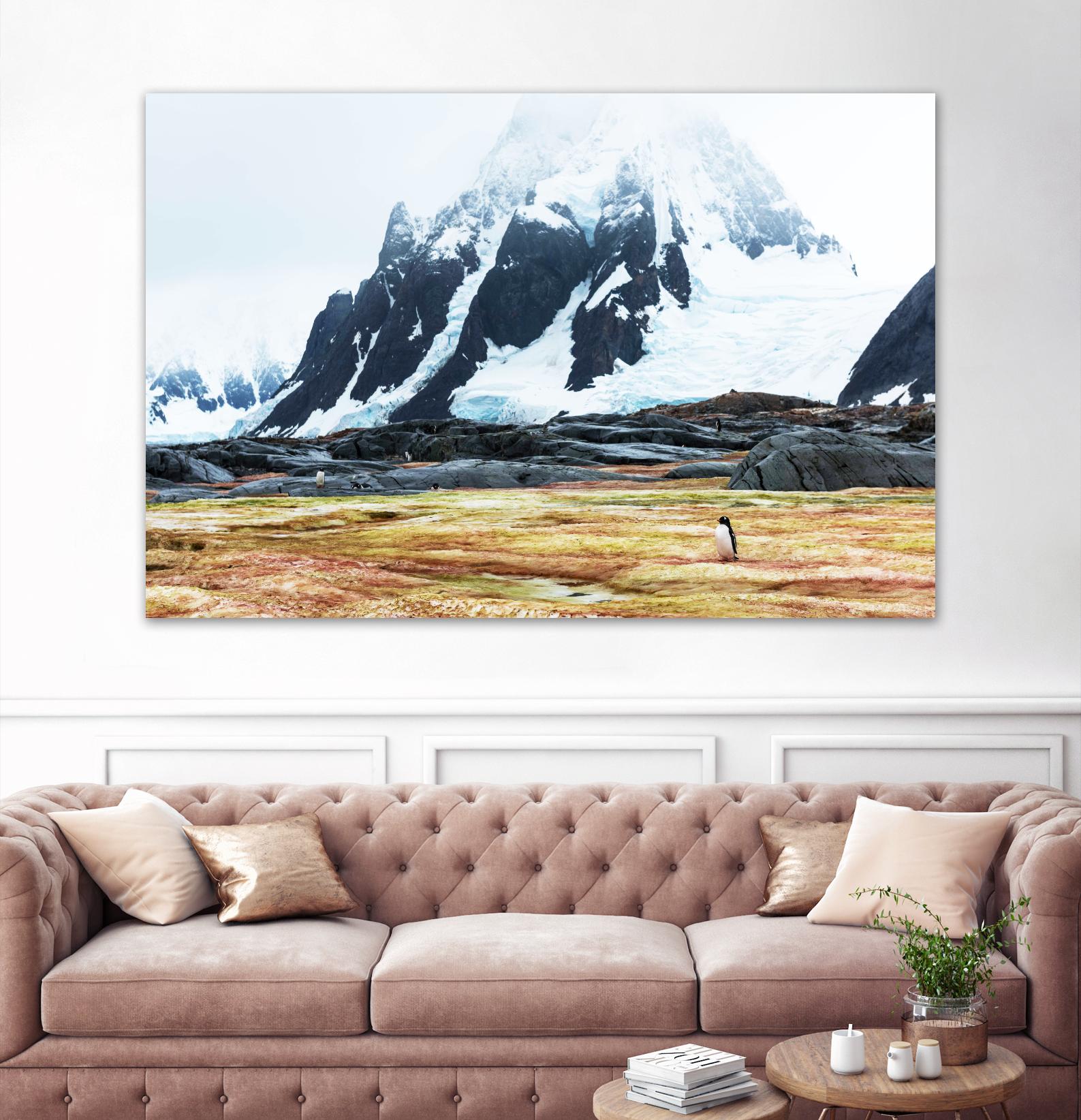 Crossing the green algae field, Antarctica by Nick Jackson on GIANT ART - white photo art