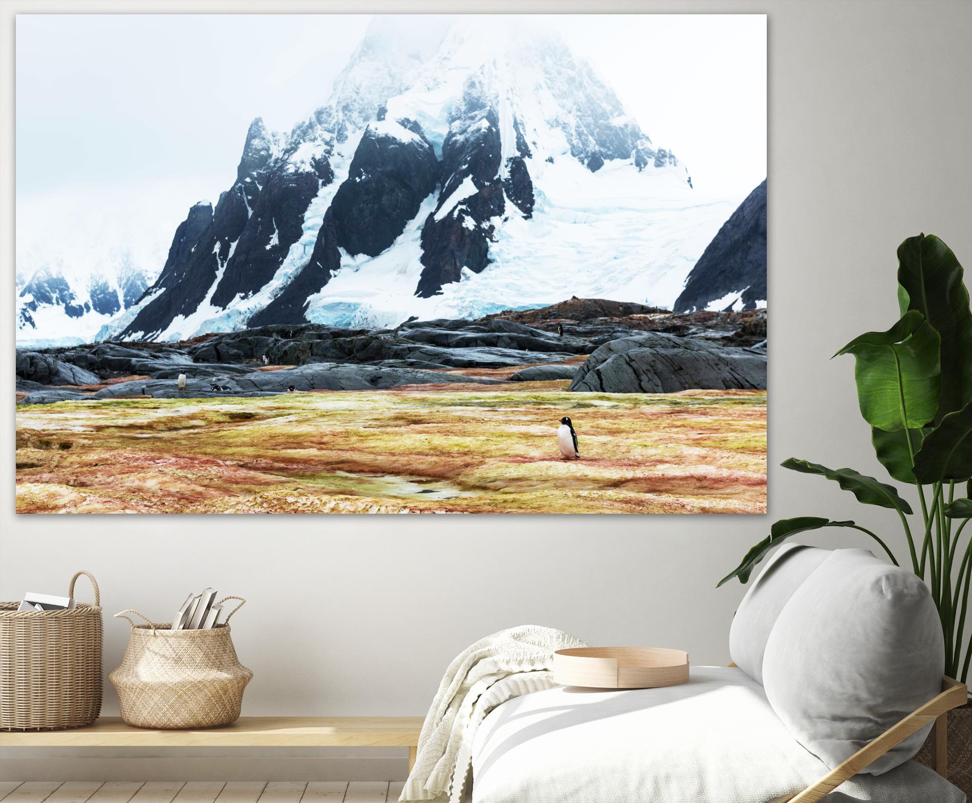 Crossing the green algae field, Antarctica by Nick Jackson on GIANT ART - white photo art