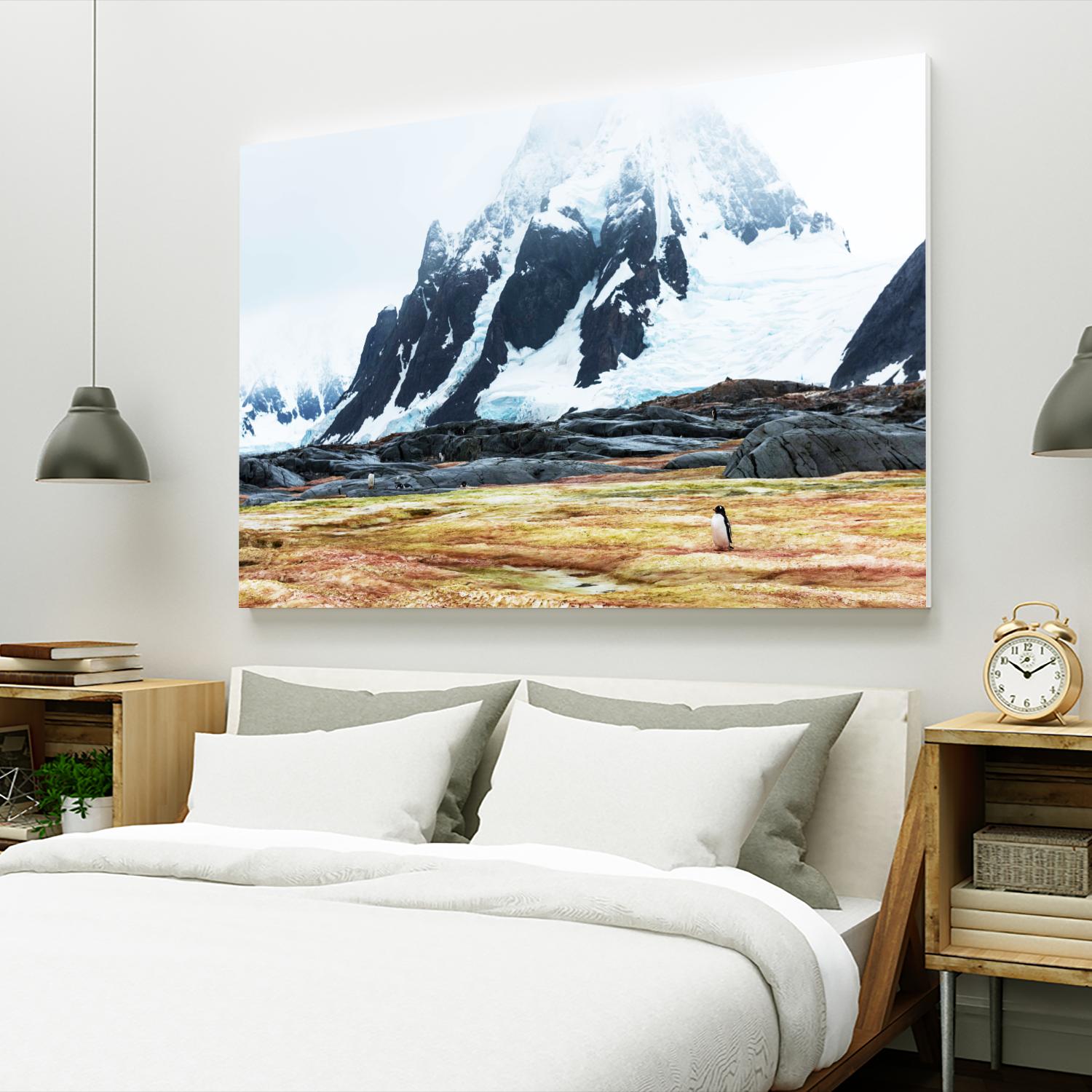 Crossing the green algae field, Antarctica by Nick Jackson on GIANT ART - white photo art