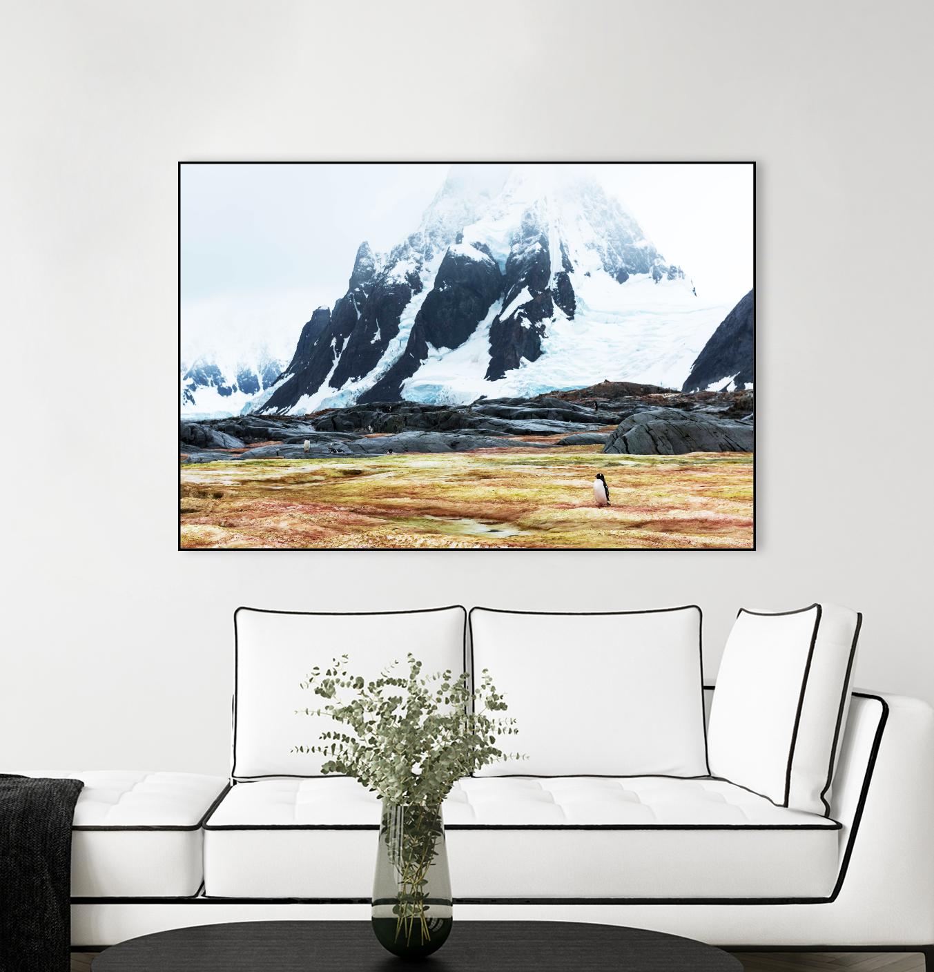 Crossing the green algae field, Antarctica by Nick Jackson on GIANT ART - white photo art