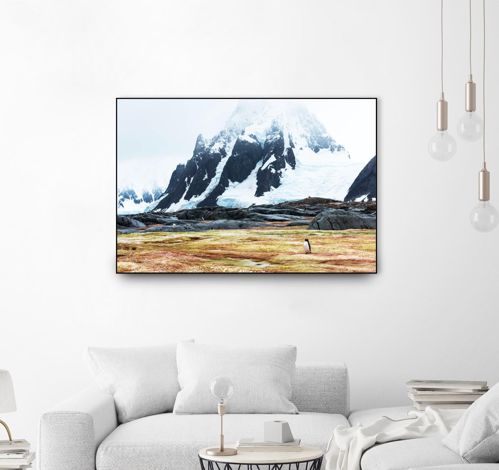 Crossing the green algae field, Antarctica by Nick Jackson on GIANT ART - white photo art