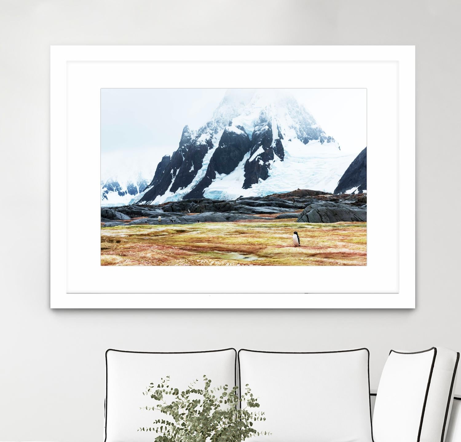 Crossing the green algae field, Antarctica by Nick Jackson on GIANT ART - white photo art