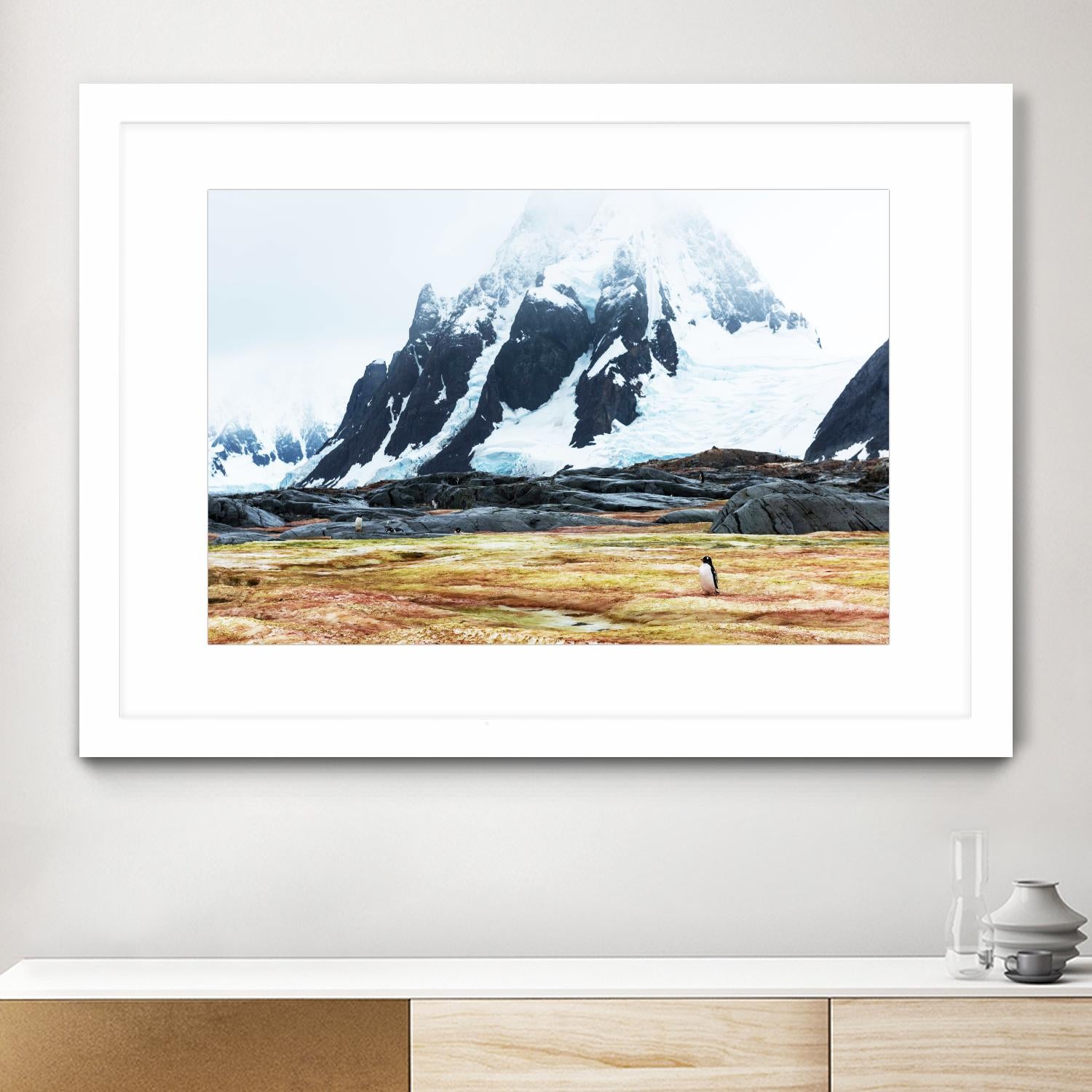 Crossing the green algae field, Antarctica by Nick Jackson on GIANT ART - white photo art