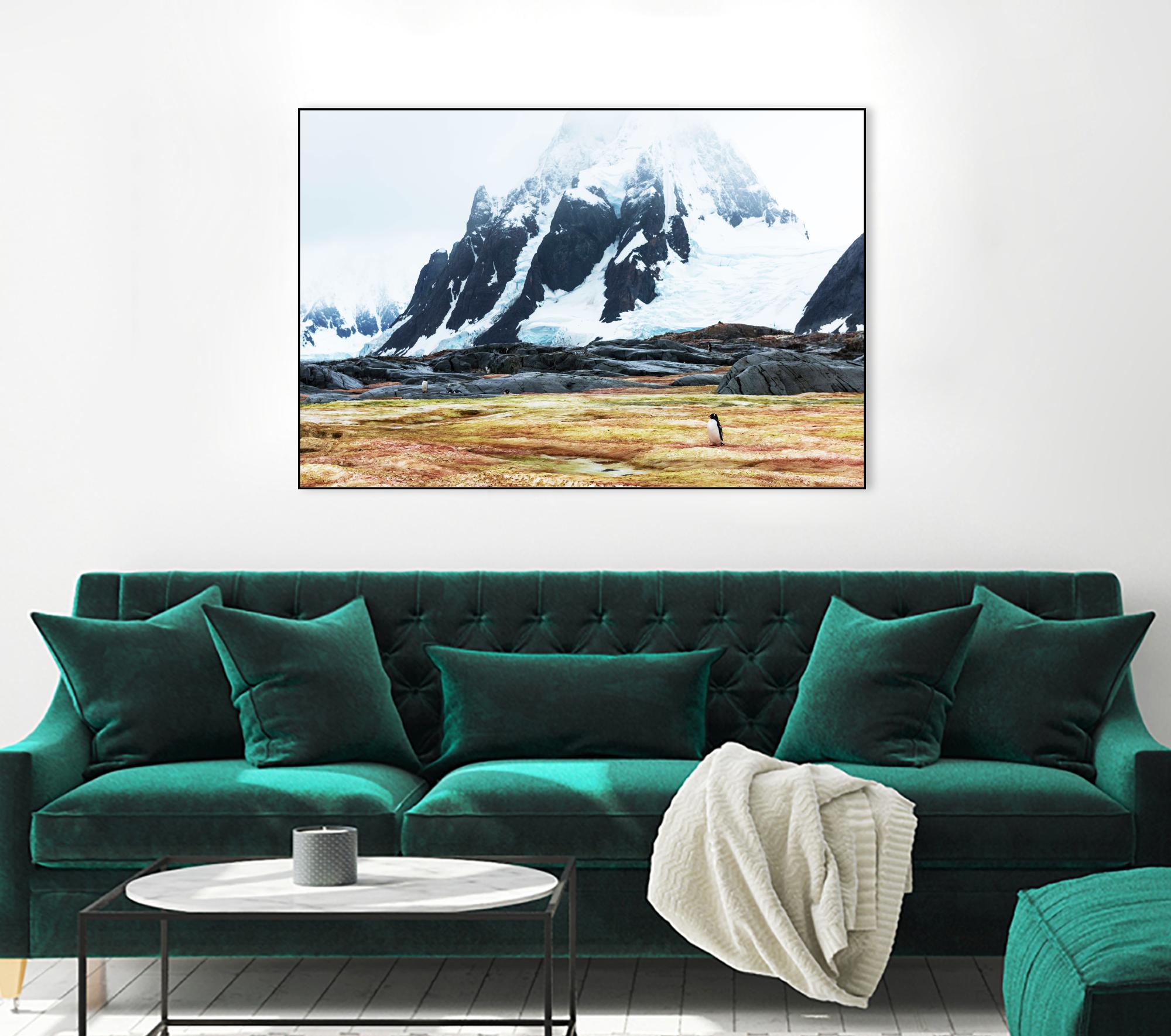 Crossing the green algae field, Antarctica by Nick Jackson on GIANT ART - white photo art