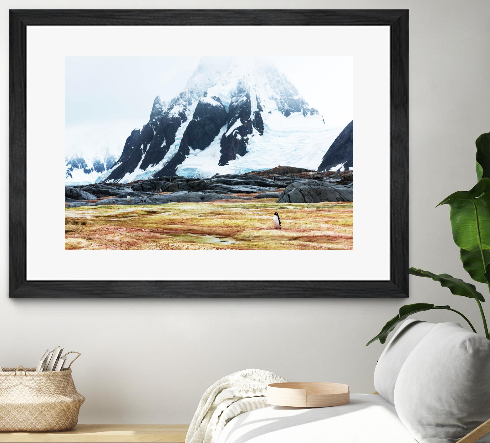 Crossing the green algae field, Antarctica by Nick Jackson on GIANT ART - white photo art