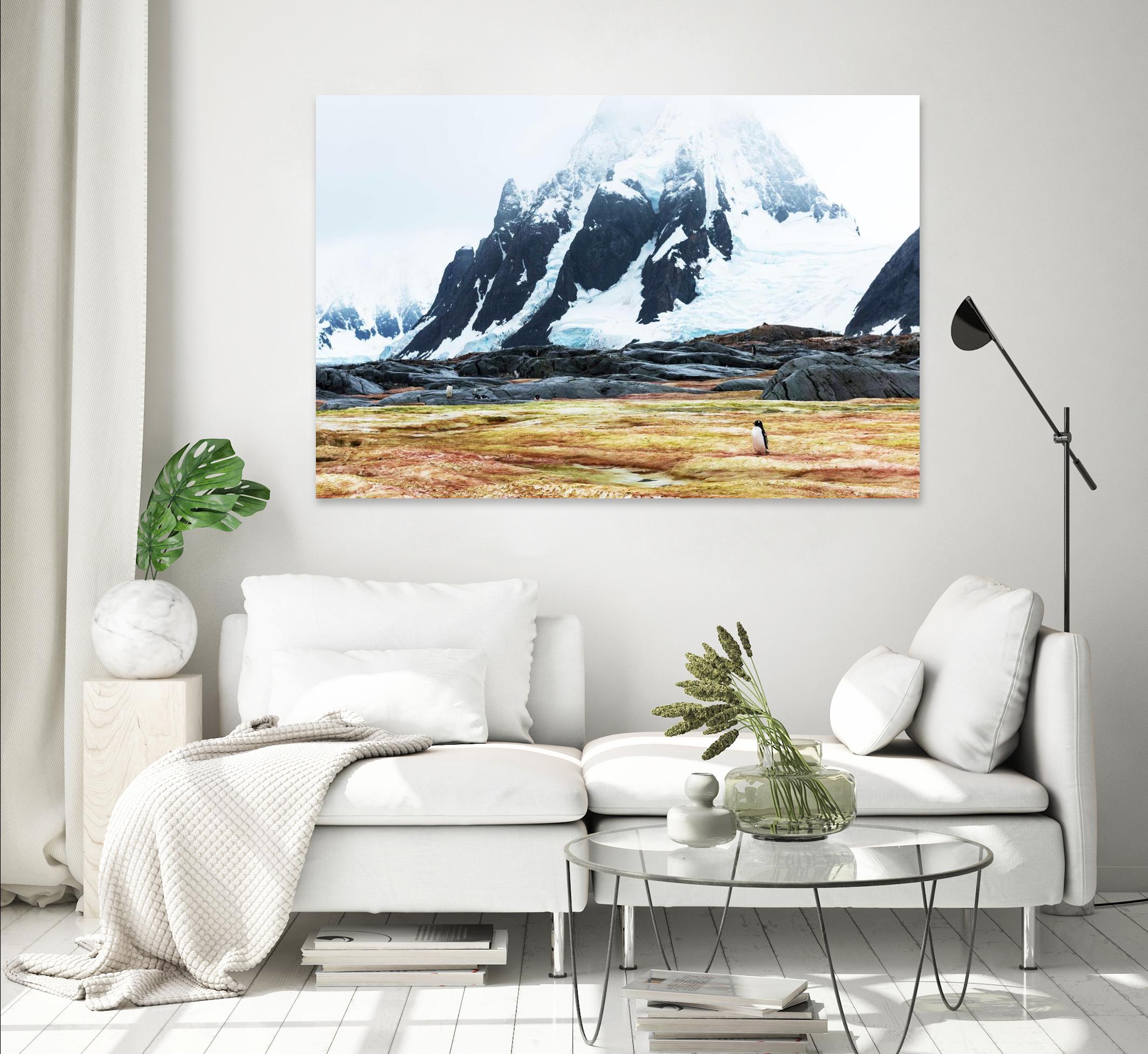 Crossing the green algae field, Antarctica by Nick Jackson on GIANT ART - white photo art