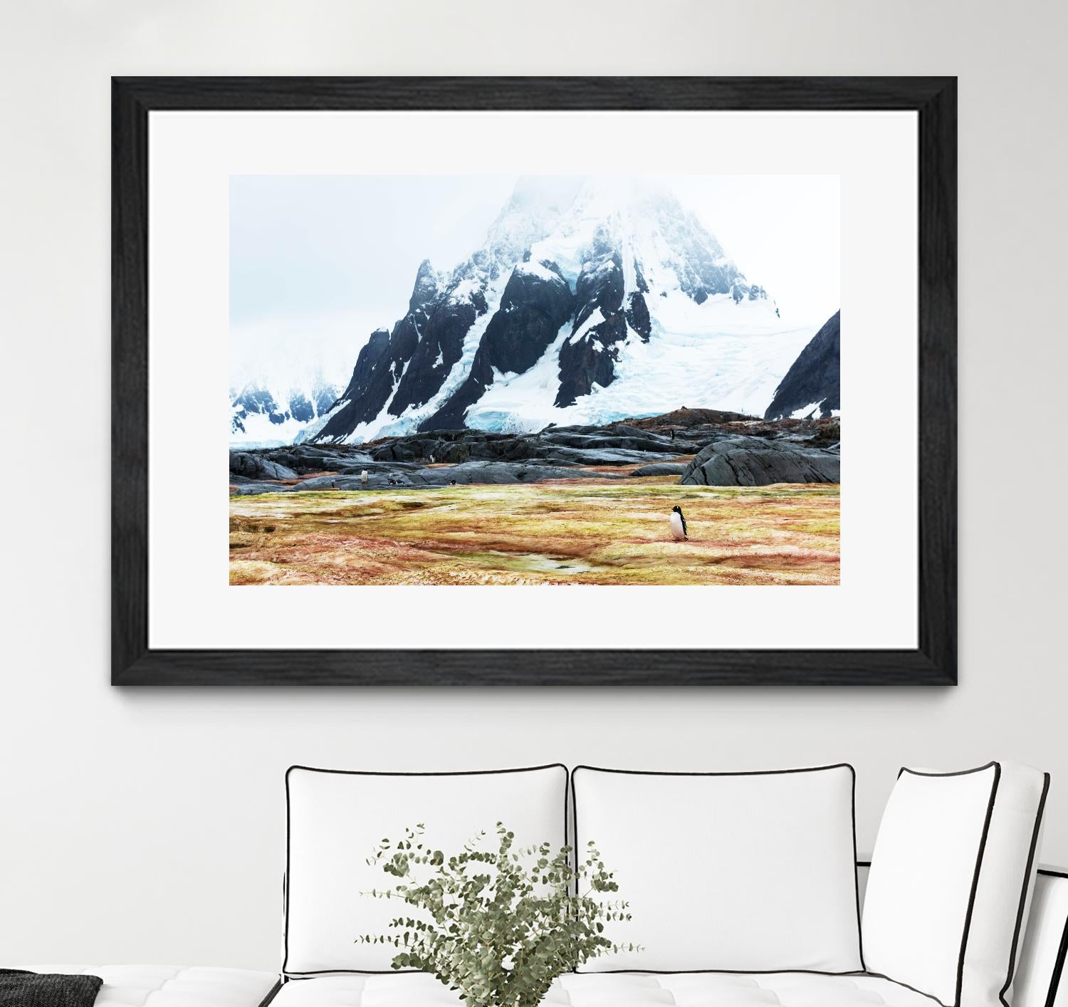 Crossing the green algae field, Antarctica by Nick Jackson on GIANT ART - white photo art