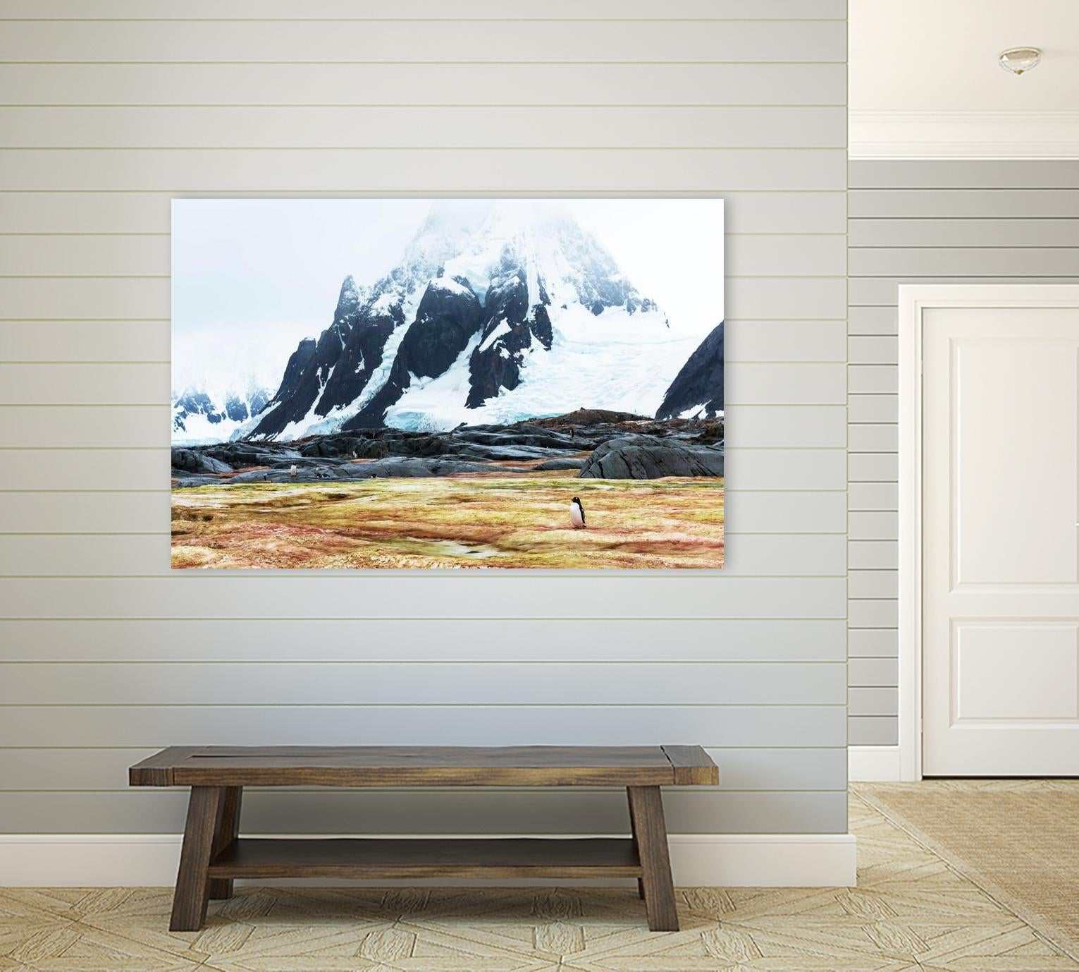 Crossing the green algae field, Antarctica by Nick Jackson on GIANT ART - white photo art