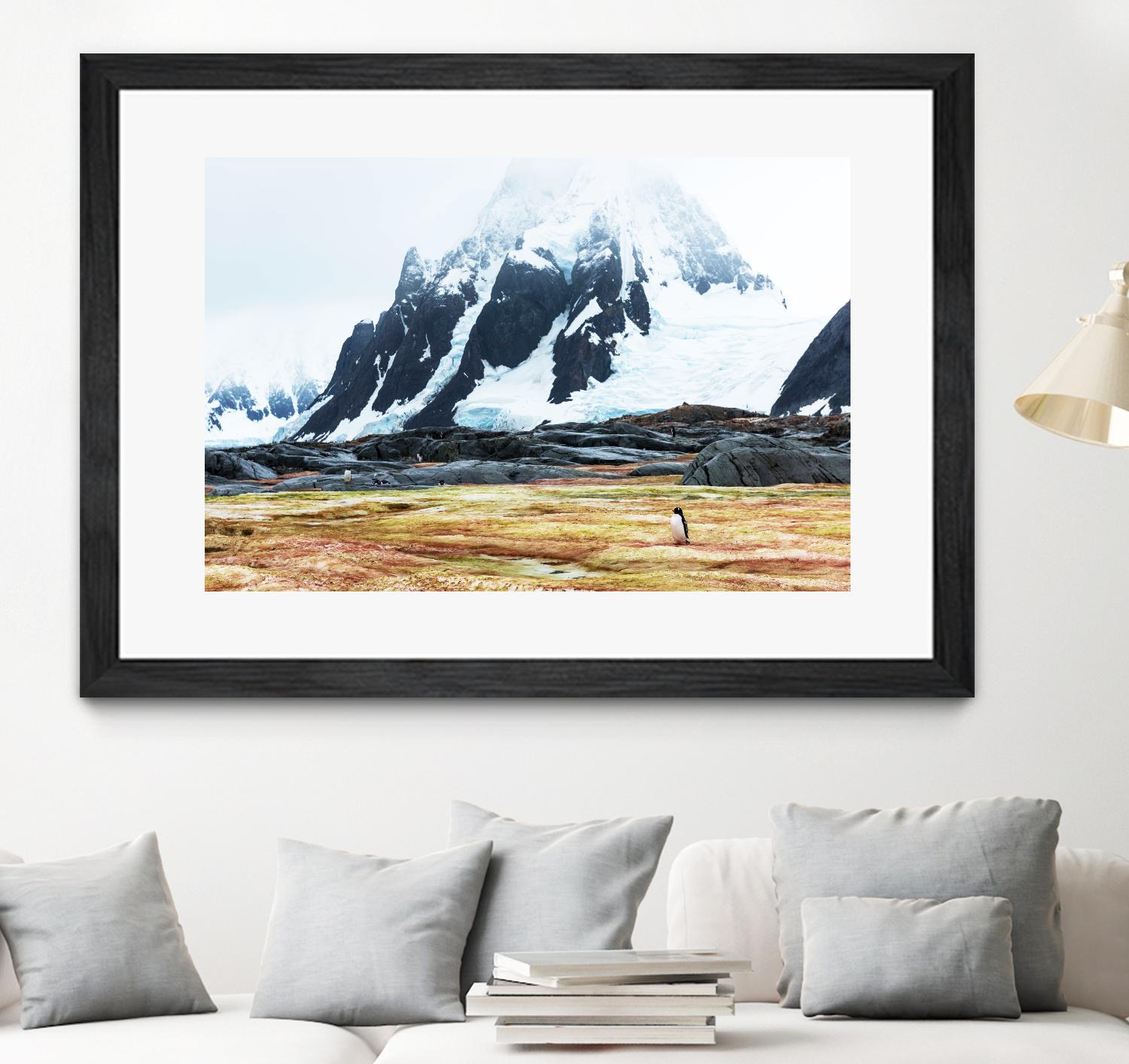 Crossing the green algae field, Antarctica by Nick Jackson on GIANT ART - white photo art