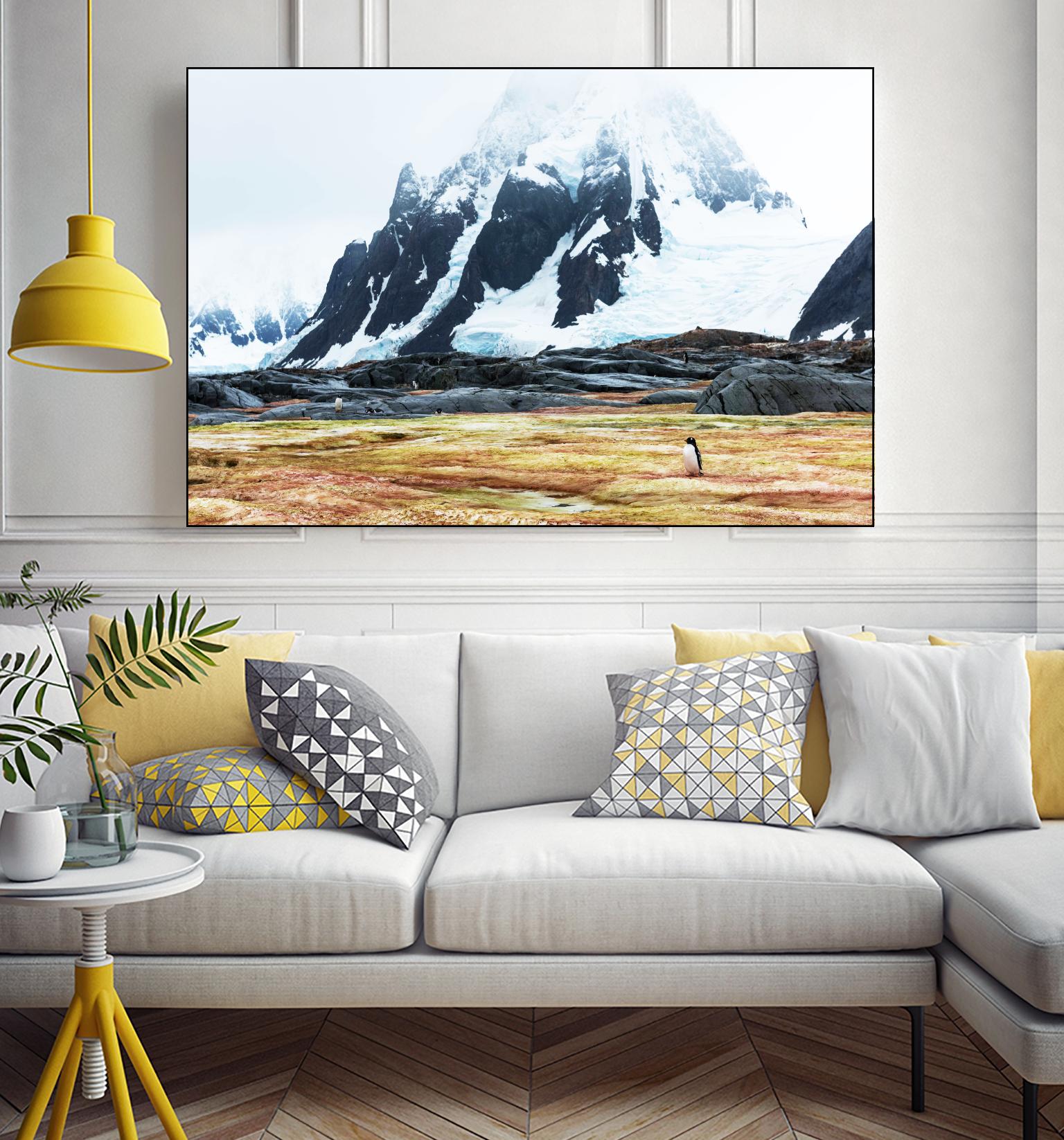 Crossing the green algae field, Antarctica by Nick Jackson on GIANT ART - white photo art