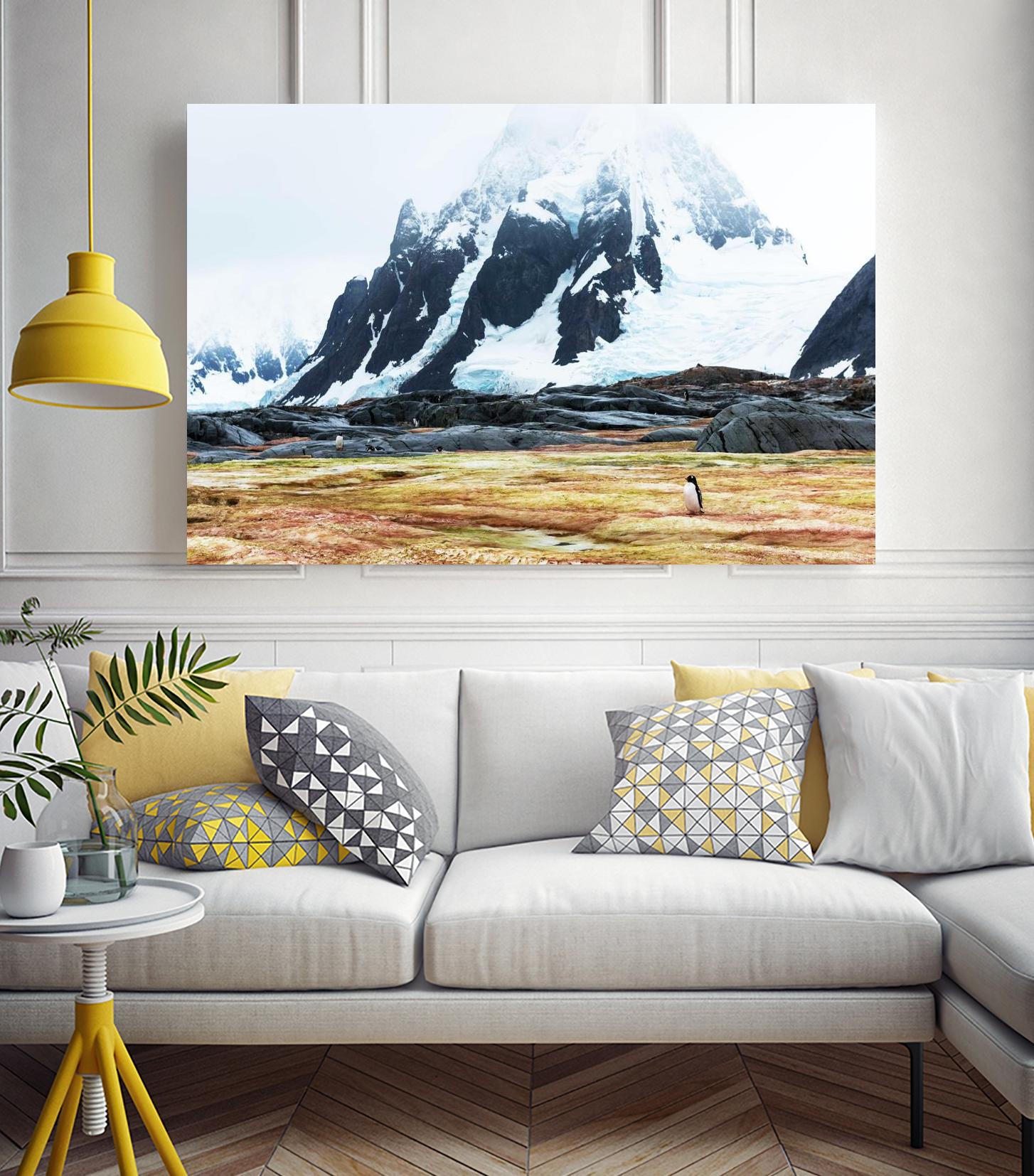 Crossing the green algae field, Antarctica by Nick Jackson on GIANT ART - white photo art