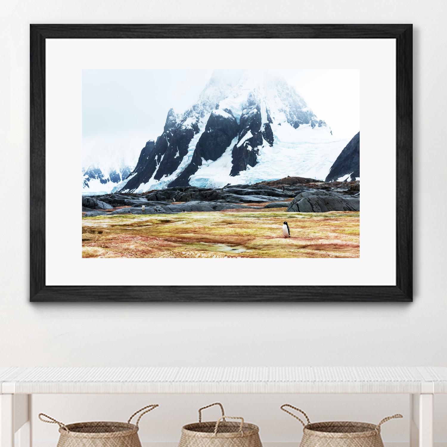 Crossing the green algae field, Antarctica by Nick Jackson on GIANT ART - white photo art