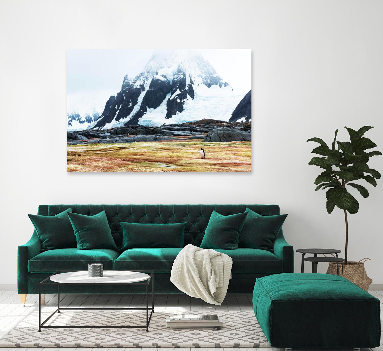 Crossing the green algae field, Antarctica by Nick Jackson on GIANT ART - white photo art