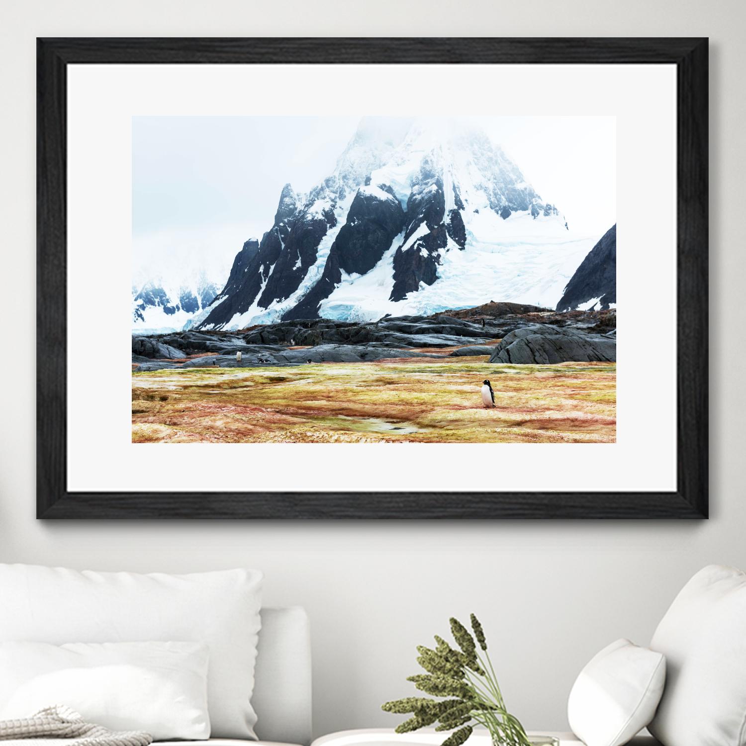 Crossing the green algae field, Antarctica by Nick Jackson on GIANT ART - white photo art