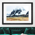 Crossing the green algae field, Antarctica by Nick Jackson on GIANT ART - white photo art