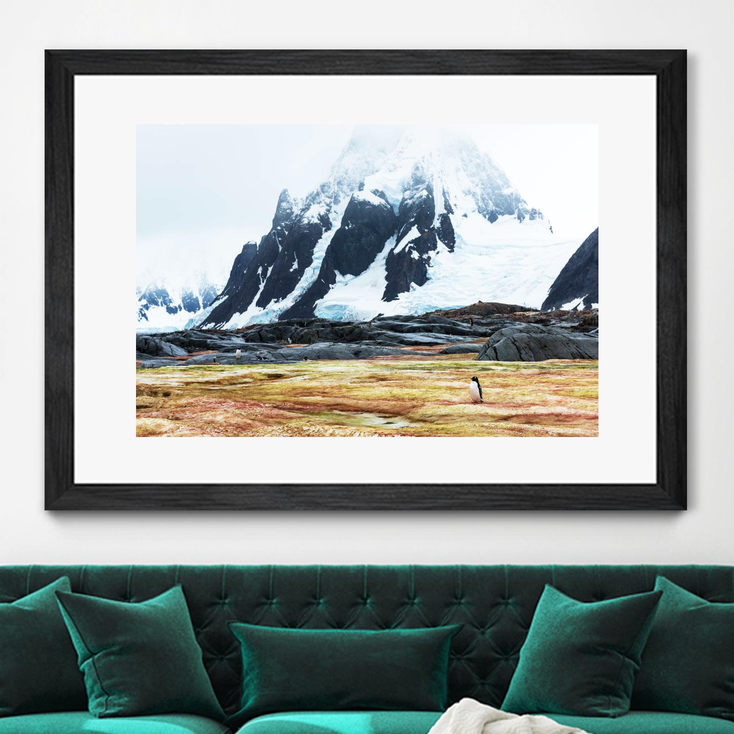 Crossing the green algae field, Antarctica by Nick Jackson on GIANT ART - white photo art