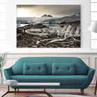 Whale skeleton at Jougla point, Antarctica by Nick Jackson on GIANT ART - grey photo art