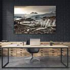 Whale skeleton at Jougla point, Antarctica by Nick Jackson on GIANT ART - grey photo art