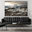 Whale skeleton at Jougla point, Antarctica by Nick Jackson on GIANT ART - grey photo art