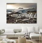 Whale skeleton at Jougla point, Antarctica by Nick Jackson on GIANT ART - grey photo art