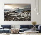 Whale skeleton at Jougla point, Antarctica by Nick Jackson on GIANT ART - grey photo art