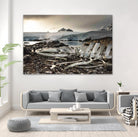Whale skeleton at Jougla point, Antarctica by Nick Jackson on GIANT ART - grey photo art