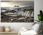 Whale skeleton at Jougla point, Antarctica by Nick Jackson on GIANT ART - grey photo art