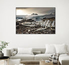 Whale skeleton at Jougla point, Antarctica by Nick Jackson on GIANT ART - grey photo art