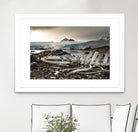 Whale skeleton at Jougla point, Antarctica by Nick Jackson on GIANT ART - grey photo art
