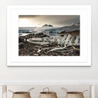Whale skeleton at Jougla point, Antarctica by Nick Jackson on GIANT ART - grey photo art