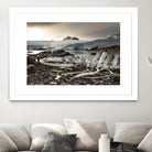Whale skeleton at Jougla point, Antarctica by Nick Jackson on GIANT ART - grey photo art