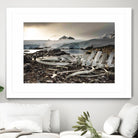 Whale skeleton at Jougla point, Antarctica by Nick Jackson on GIANT ART - grey photo art