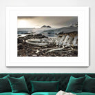 Whale skeleton at Jougla point, Antarctica by Nick Jackson on GIANT ART - grey photo art