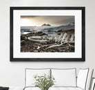 Whale skeleton at Jougla point, Antarctica by Nick Jackson on GIANT ART - grey photo art