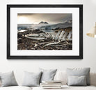 Whale skeleton at Jougla point, Antarctica by Nick Jackson on GIANT ART - grey photo art