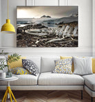 Whale skeleton at Jougla point, Antarctica by Nick Jackson on GIANT ART - grey photo art
