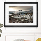 Whale skeleton at Jougla point, Antarctica by Nick Jackson on GIANT ART - grey photo art