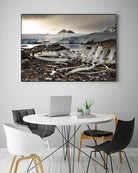 Whale skeleton at Jougla point, Antarctica by Nick Jackson on GIANT ART - grey photo art