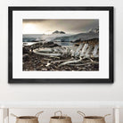 Whale skeleton at Jougla point, Antarctica by Nick Jackson on GIANT ART - grey photo art