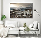 Whale skeleton at Jougla point, Antarctica by Nick Jackson on GIANT ART - grey photo art