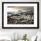 Whale skeleton at Jougla point, Antarctica by Nick Jackson on GIANT ART - grey photo art
