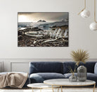Whale skeleton at Jougla point, Antarctica by Nick Jackson on GIANT ART - grey photo art