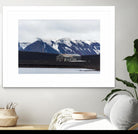 Whaler's Bay, Deception Island, Antarctica by Nick Jackson on GIANT ART - grey photo art
