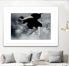Fly by Peter Morneau on GIANT ART - black photography dancer