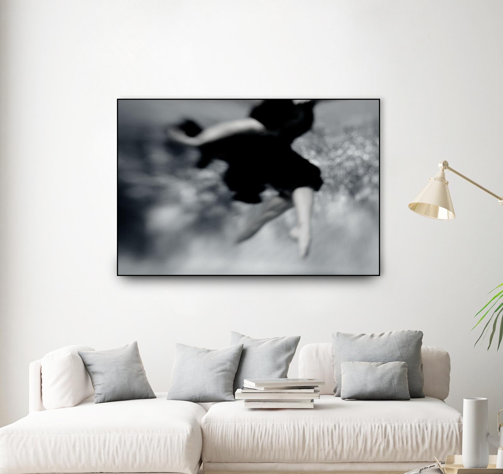 Fly by Peter Morneau on GIANT ART - grey photo art